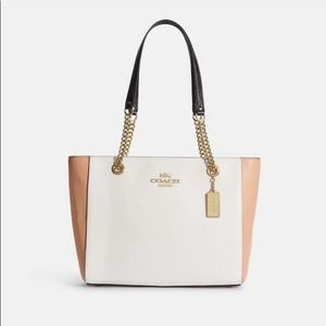 Cammie Chain Tote In Colorblock